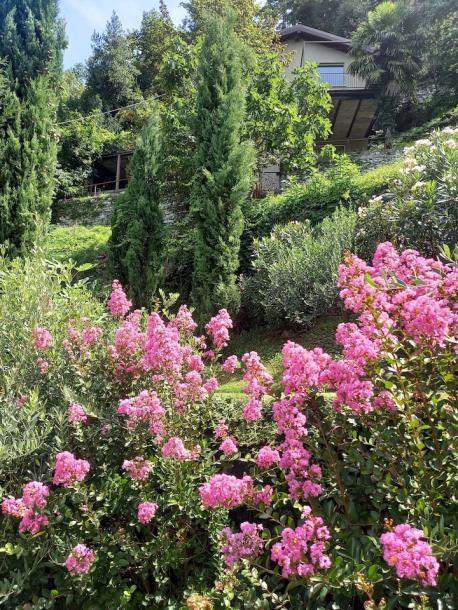 Entire rental unit in Blevio, Italy 2 guests1 bedroom1 bed1 bath-1