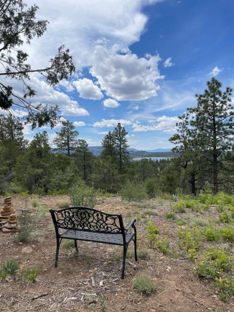 Entire cabin in Mancos, Colorado 4 guestsStudio2 beds1 bath-1