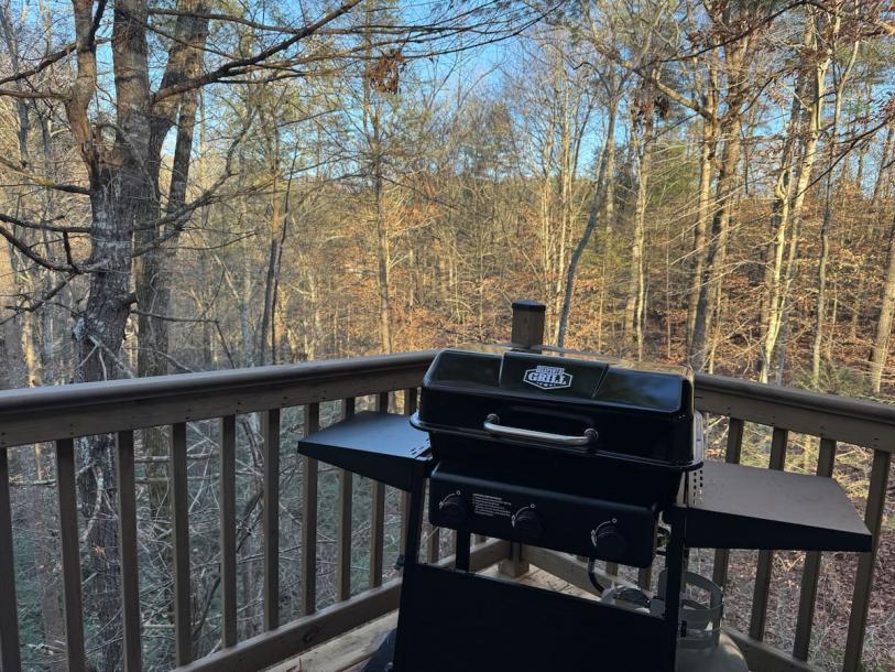 Entire cabin in Sevierville, Tennessee 4 guests2 bedrooms2 beds1 bath-1