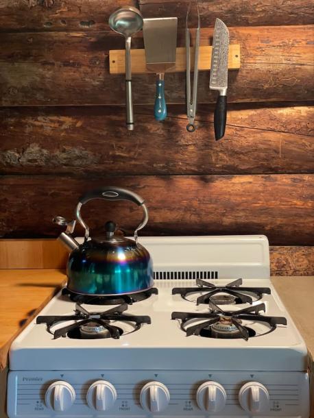 Entire cabin in Mancos, Colorado 4 guestsStudio2 beds1 bath-4