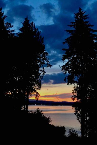 Entire cottage in Bainbridge Island, Washington 4 guests1 bedroom3 beds1 bath-1