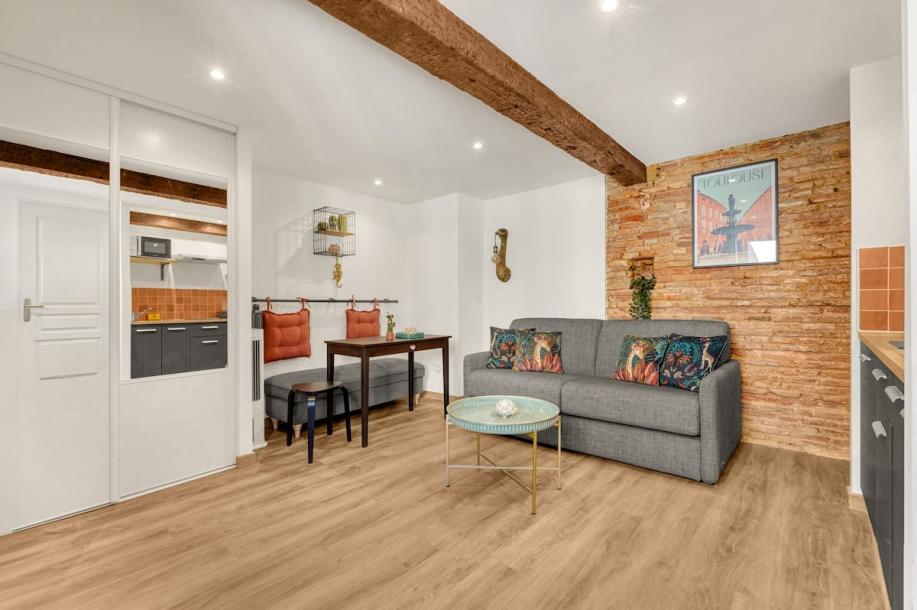 Entire rental unit in Toulouse, France 2 guestsStudio1 bed1 bath-7