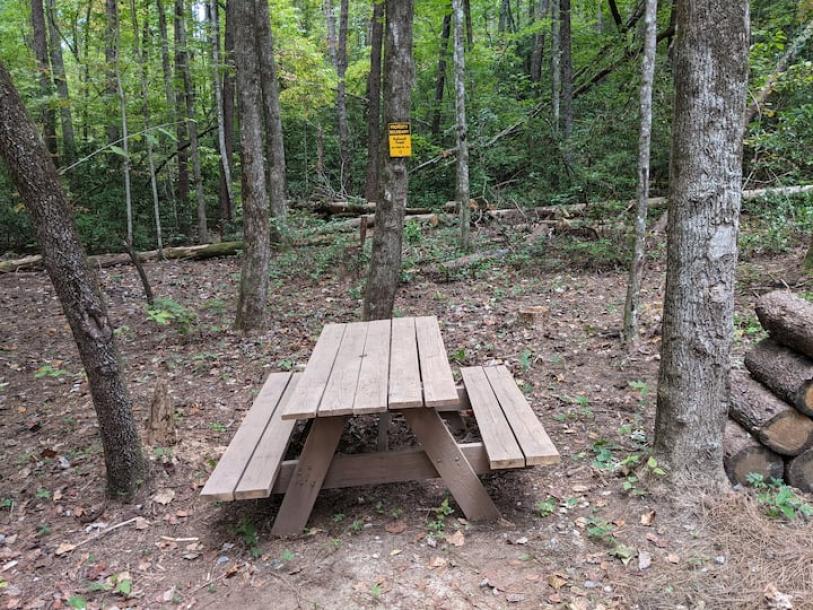 Entire cabin in Sautee Nacoochee, Georgia 4 guests2 bedrooms2 beds1 bath-1