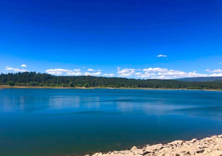 Entire cabin in Mancos, Colorado 4 guestsStudio2 beds1 bath-6