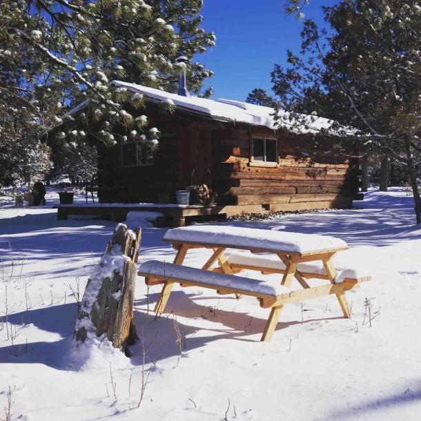 Entire cabin in Mancos, Colorado 4 guestsStudio2 beds1 bath-5