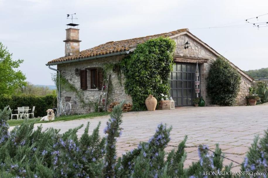 Entire cabin in Massa Martana, Italy 2 guests1 bedroom2 beds1 bath-8