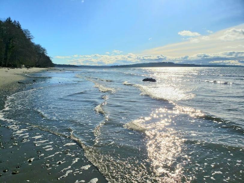 Entire chalet in Hansville, Washington 4 guests2 bedrooms2 beds2 baths-19