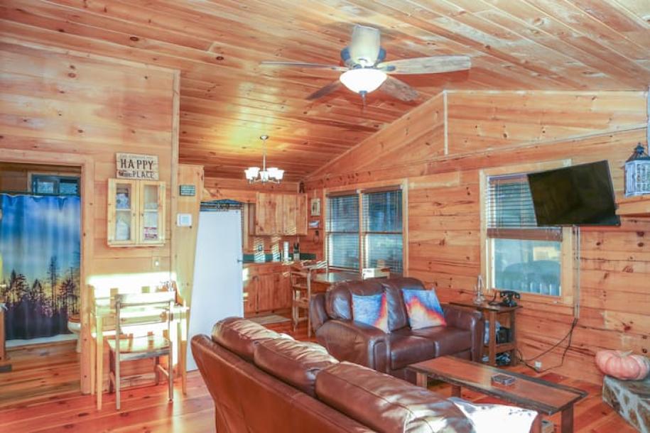 Entire cabin in Ellijay, Georgia 4 guests2 bedrooms2 beds1 bath-10