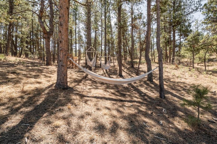 Entire cabin in Colorado Springs, Colorado 5 guests2 bedrooms3 beds1 bath-6