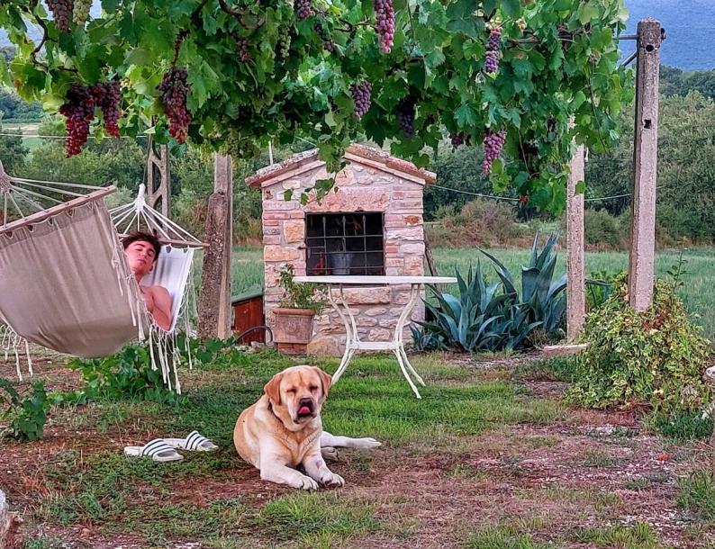 Entire cabin in Massa Martana, Italy 2 guests1 bedroom2 beds1 bath-9