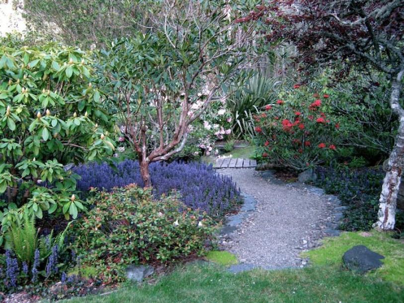 Entire guest suite in Fort Bragg, California 4 guestsStudio2 beds1 bath-17