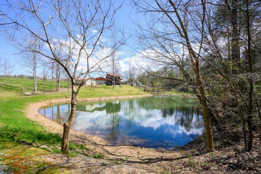 Entire cabin in Sevierville, Tennessee 2 guests1 bedroom1 bed1 bath-13