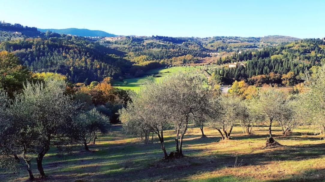 Entire home in Fiesole, Italy 2 guestsStudio1 bed1 bath-2