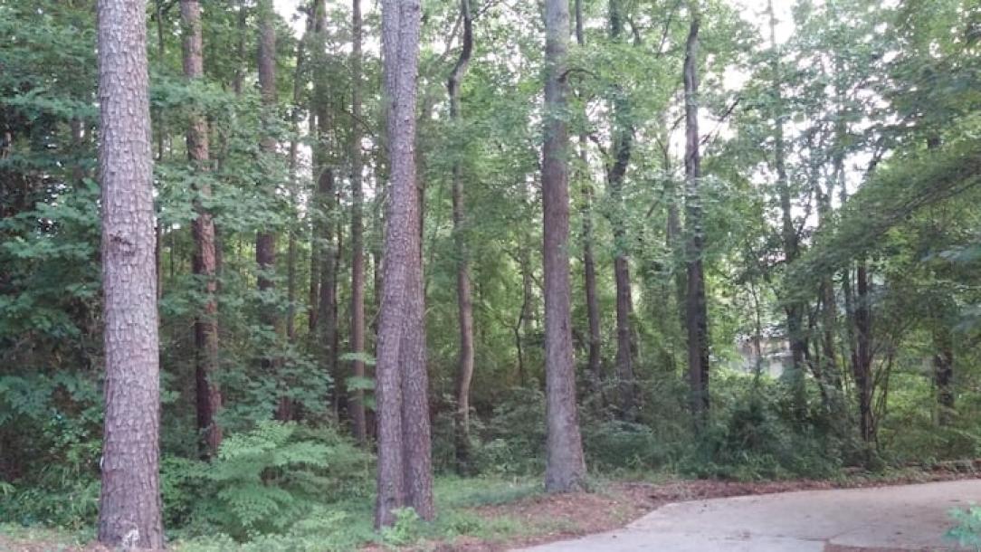 Entire home in Fayetteville, North Carolina 2 guests1 bedroom1 bed1 bath-1