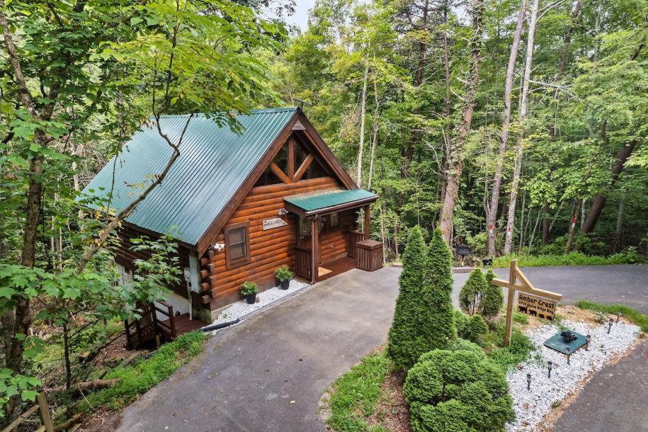 Entire cabin in Sevierville, Tennessee 4 guests1 bedroom2 beds1 bath-10