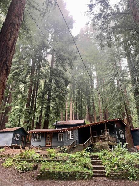 Entire guesthouse in Felton, California 2 guests1 bedroom1 bed1 bath-4