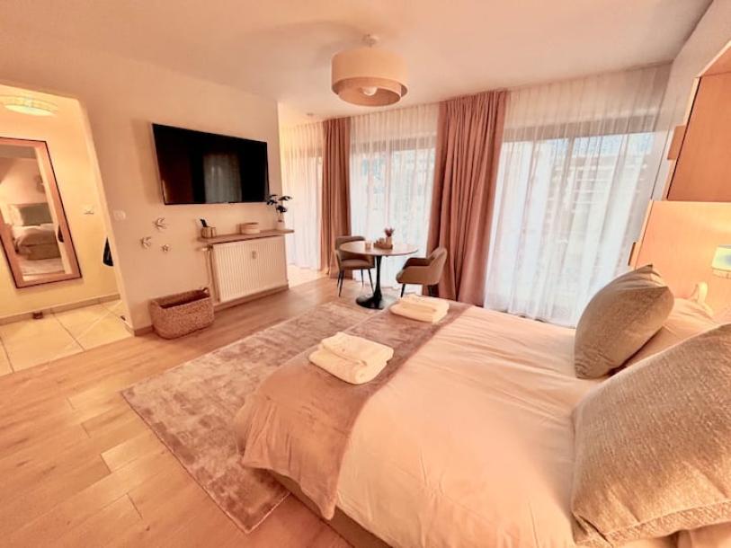 Entire rental unit in Annecy, France 2 guests1 bedroom2 beds1 bath-13
