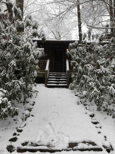 Entire cabin in Tellico Plains, Tennessee 4 guests2 bedrooms2 beds1 bath-0