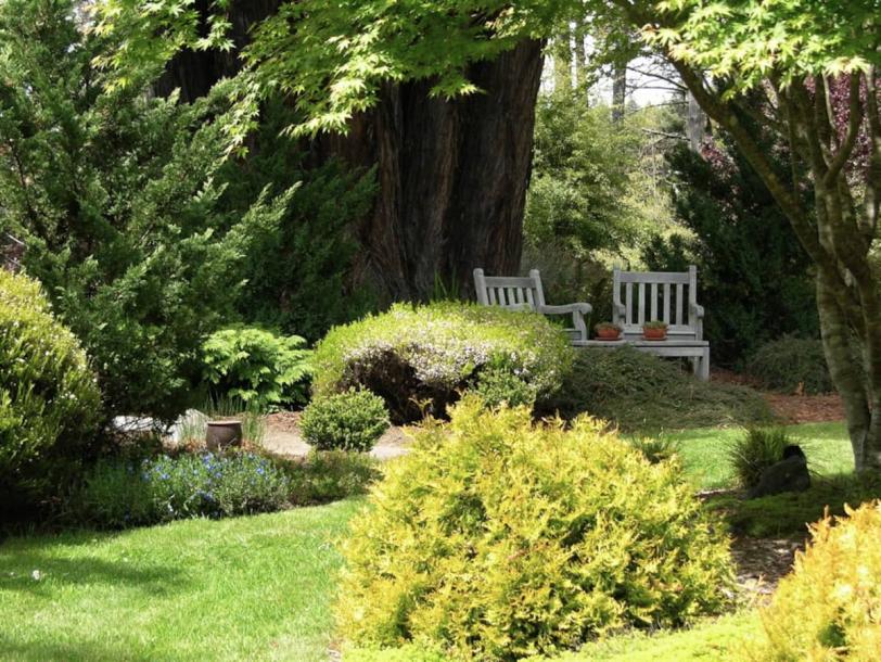 Entire guest suite in Fort Bragg, California 4 guestsStudio2 beds1 bath-13