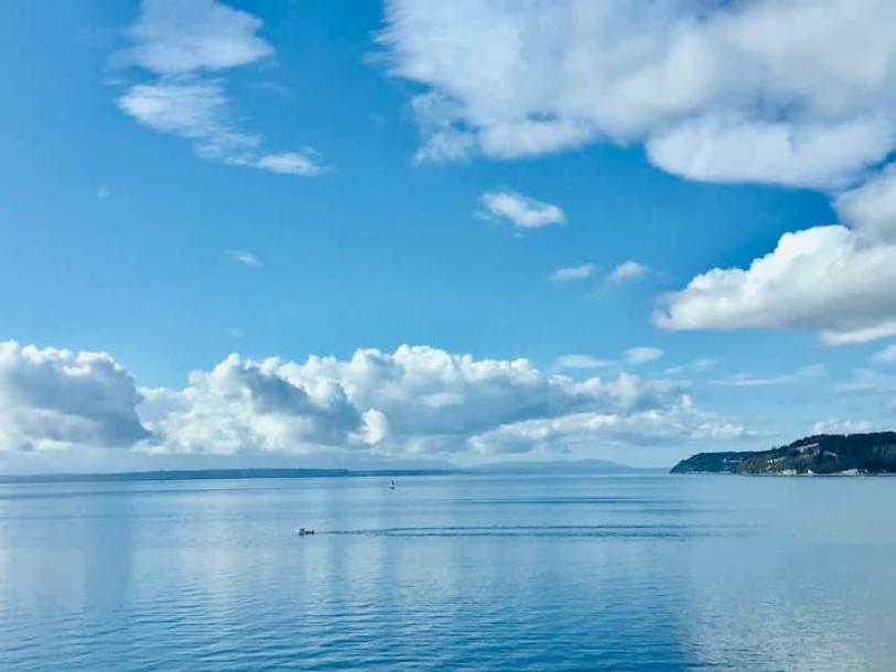 Entire place in Edmonds, Washington 4 guests1 bedroom2 beds1 bath-1