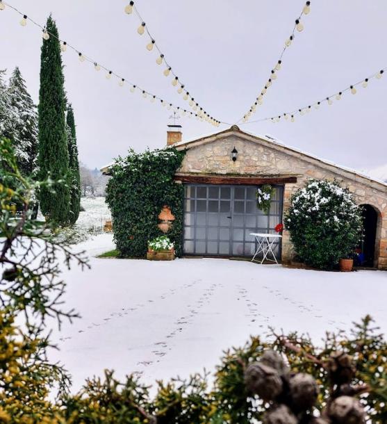 Entire cabin in Massa Martana, Italy 2 guests1 bedroom2 beds1 bath-4