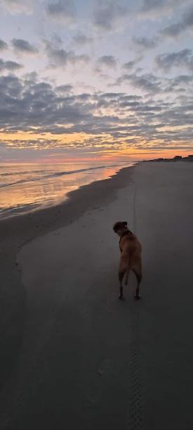 Entire cottage in Oak Island, North Carolina 5 guests3 bedrooms3 beds1.5 baths-5