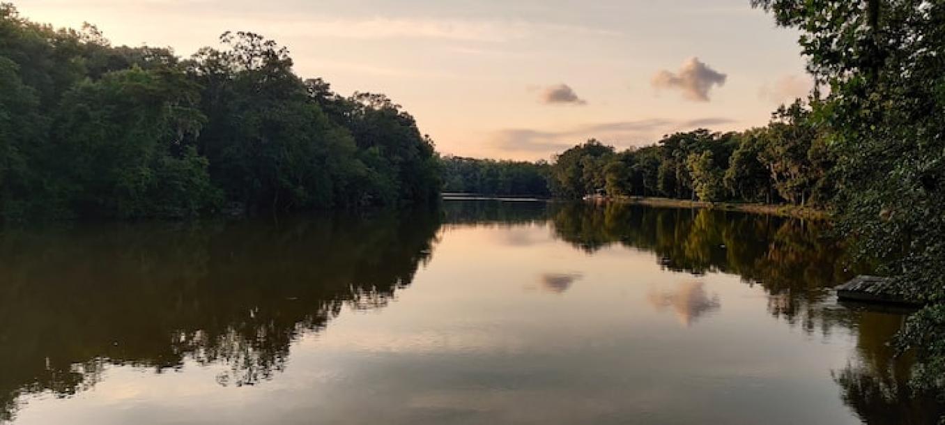 Tranquil Savannah River Cottage w/ Views+Breakfast-8