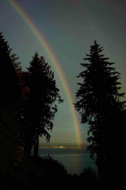 Entire cottage in Bainbridge Island, Washington 4 guests1 bedroom3 beds1 bath-2