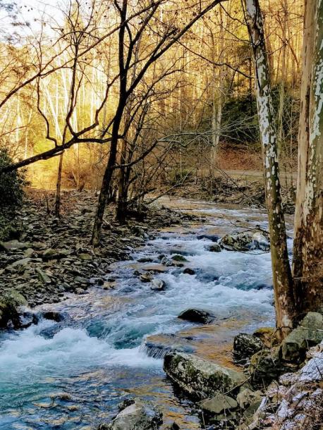 Entire cabin in Sevierville, Tennessee 2 guests1 bedroom1 bed2 baths-18
