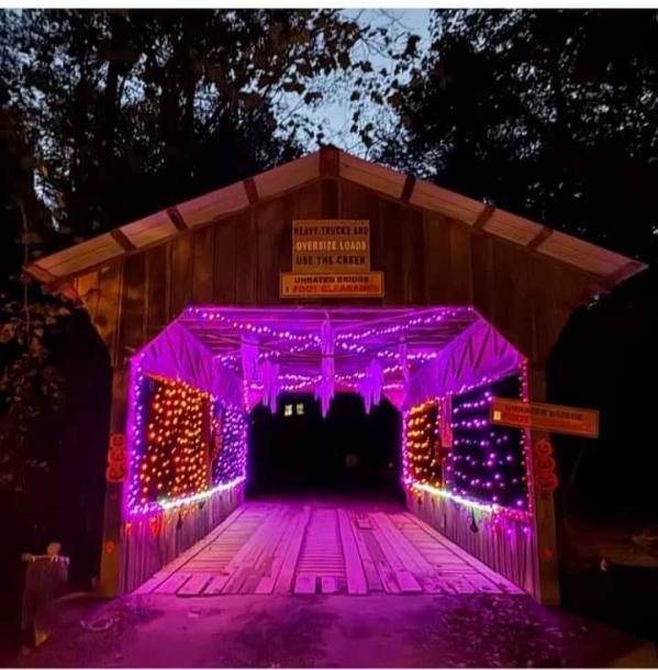 Entire cabin in Ellijay, Georgia 4 guests2 bedrooms2 beds1 bath-2