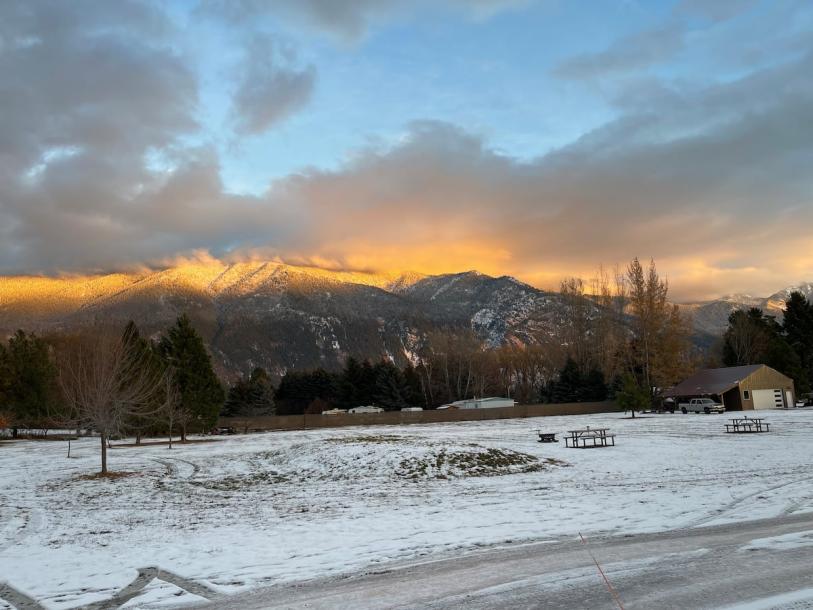 Entire cabin in Columbia Falls, Montana 4 guestsStudio2 beds1 bath-3