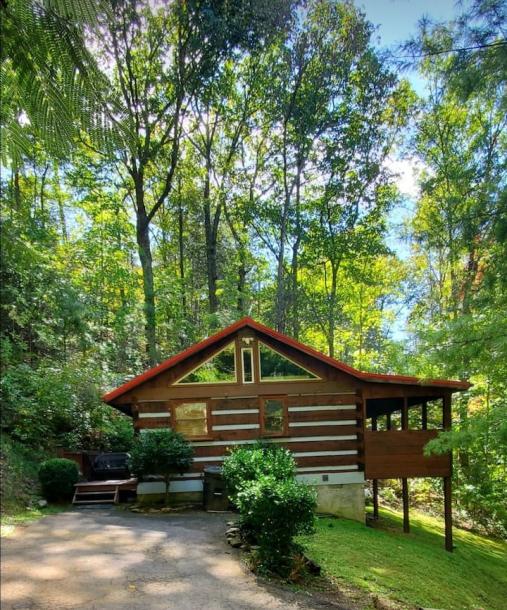 Entire cabin in Pigeon Forge, Tennessee 4 guests1 bedroom2 beds1 bath-0