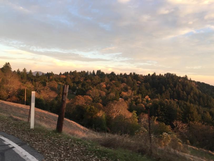 Entire cabin in Los Gatos, California 4 guests1 bedroom3 beds1 bath-3