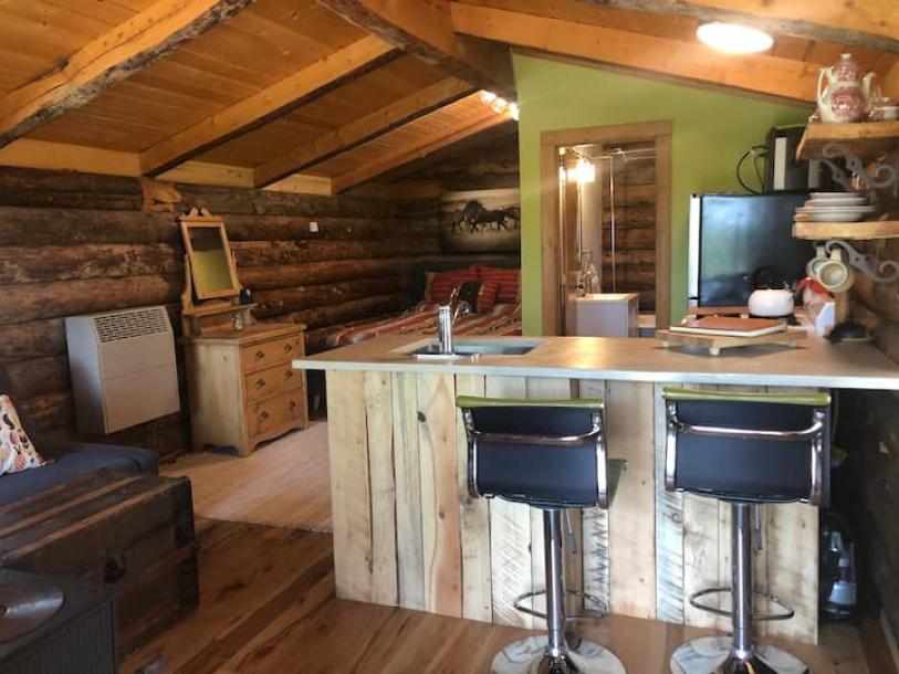Entire cabin in Mancos, Colorado 4 guestsStudio2 beds1 bath-13