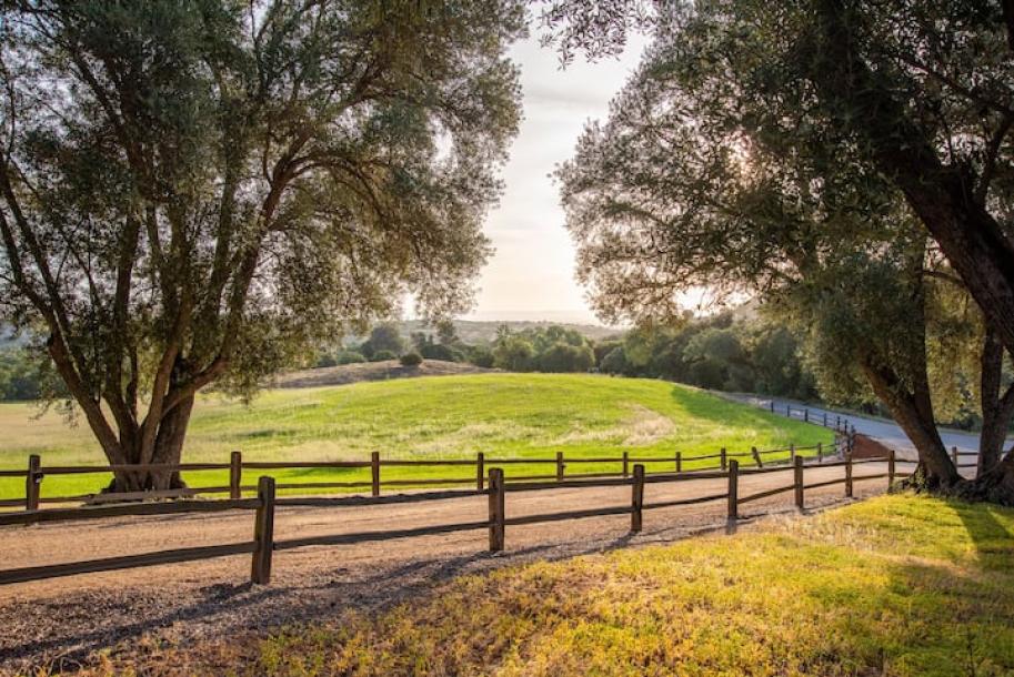 Entire cottage in Paso Robles, California 2 guests1 bedroom1 bed1 bath-6