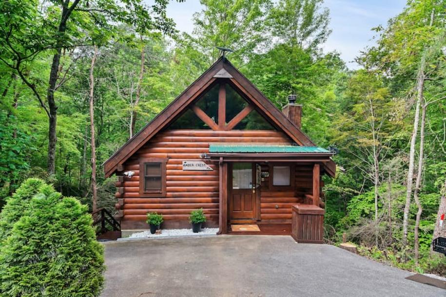 Entire cabin in Sevierville, Tennessee 4 guests1 bedroom2 beds1 bath-15