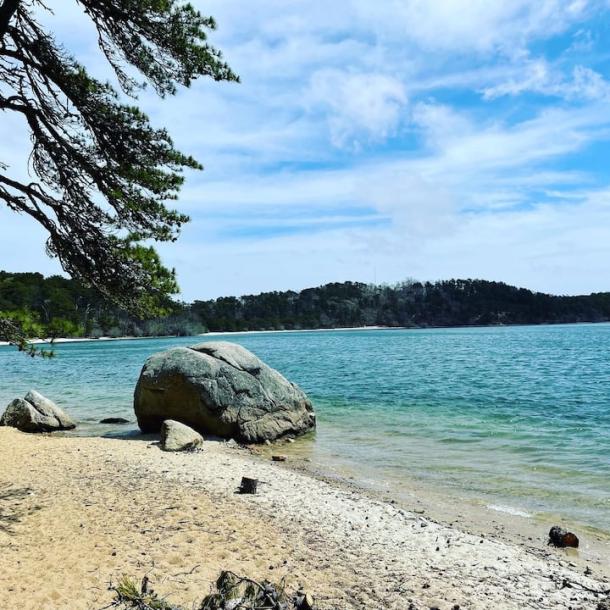 Entire guesthouse in Brewster, Massachusetts 2 guests1 bedroom2 beds1 bath-17