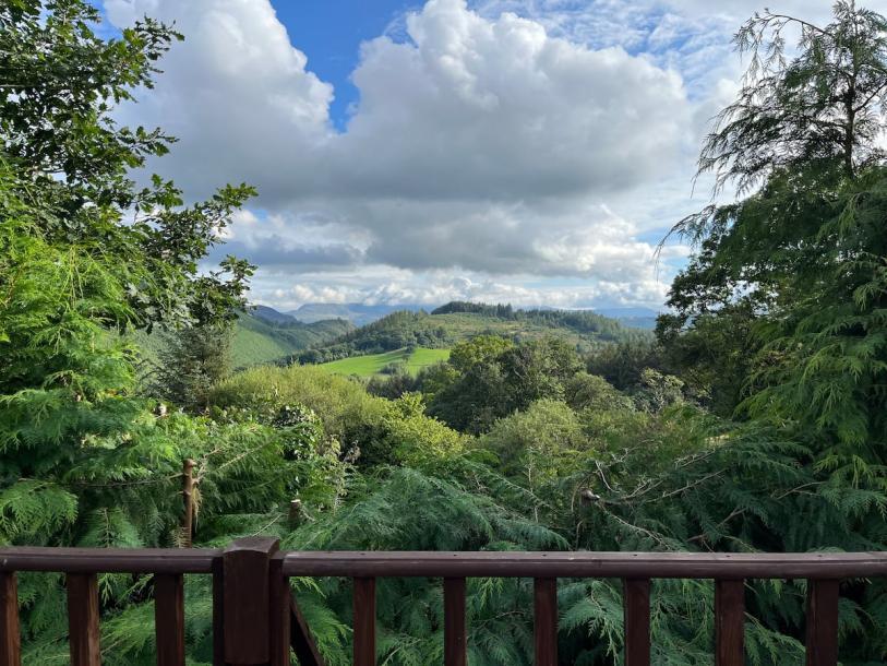 Entire cabin in Gwynedd, United Kingdom 2 guests1 bedroom1 bed1 bath-7