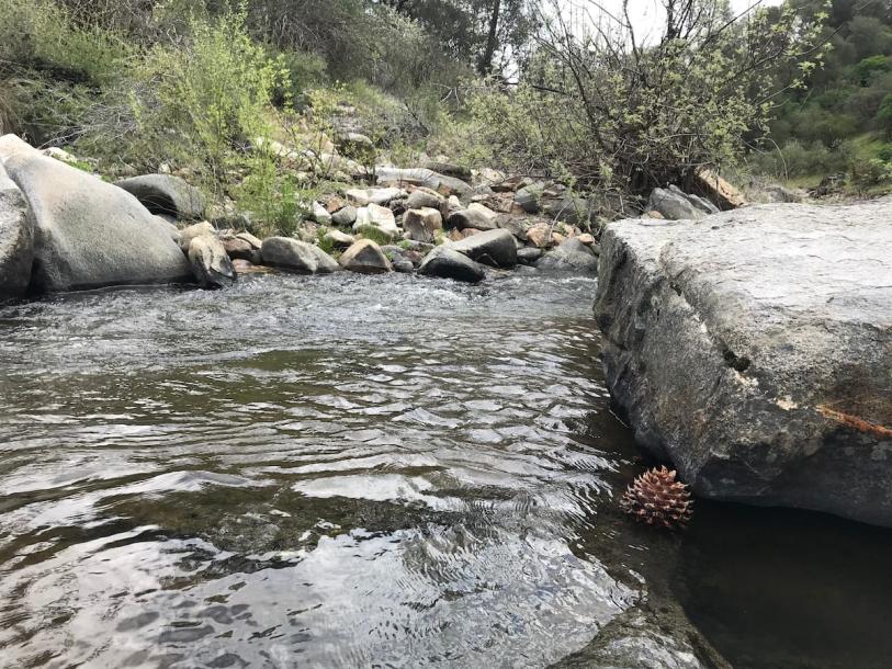 Romantic Cabin: River, Hot Tub, View, Spa Bathroom Entire cabin in Mariposa, California 4 guests1 bedroom2 beds1 bath-3
