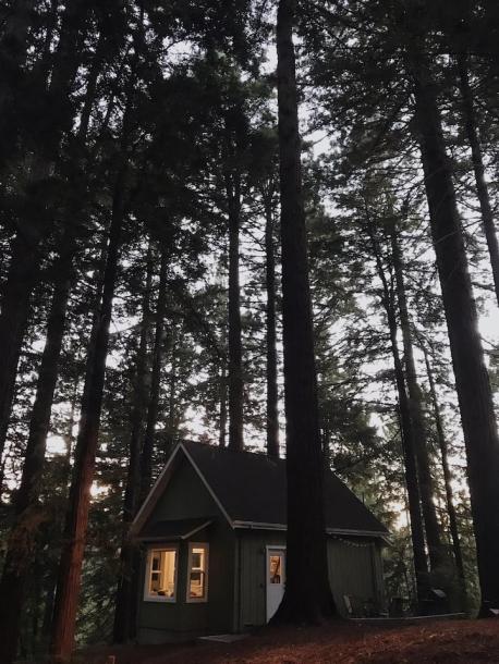 Entire cabin in Los Gatos, California 4 guests1 bedroom3 beds1 bath-1