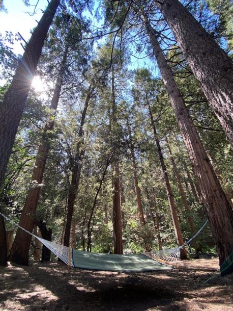 Entire cabin in Idyllwild-Pine Cove, California 4 guests2 bedrooms3 beds1 bath-2