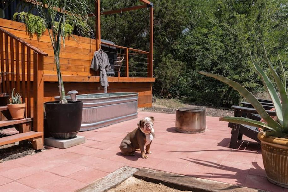 Shipping container in Austin, Texas 2 guests1 bedroom1 bed1 bath-2