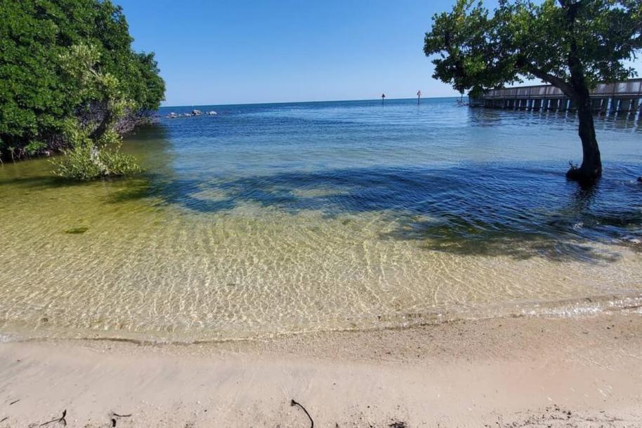 Entire condo in Tavernier, Florida 5 guests2 bedrooms4 beds2 baths-19