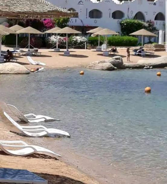 luxury apartment with patio overlooking the sea egypt-2