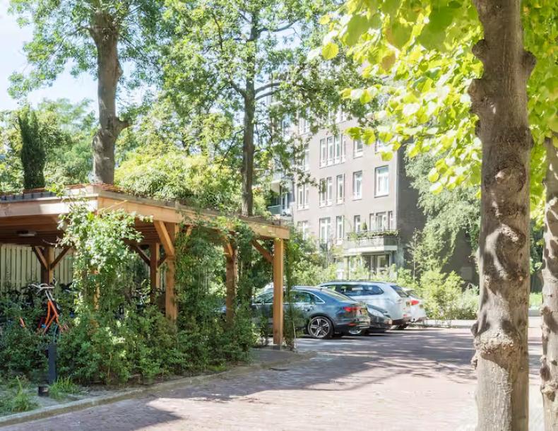 One Bedroom Apartment at Wittenberg by Cove-2