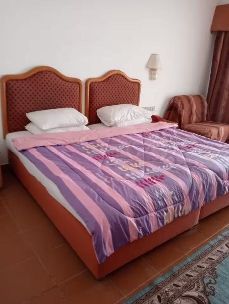 luxury apartment with patio overlooking the sea egypt-7