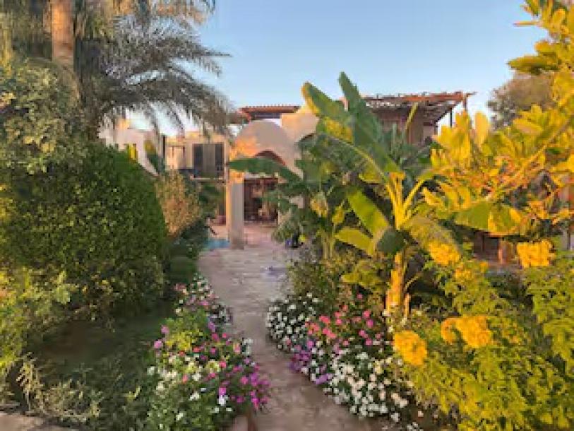 Villa Gamila (4), renovated , seaview, pool/garden egypt-7