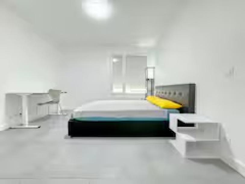 New studio Leman 10 minitues to Geneva center-2