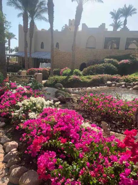 Elegant Sea View Chalet - Four Seasons Resort egypt-3