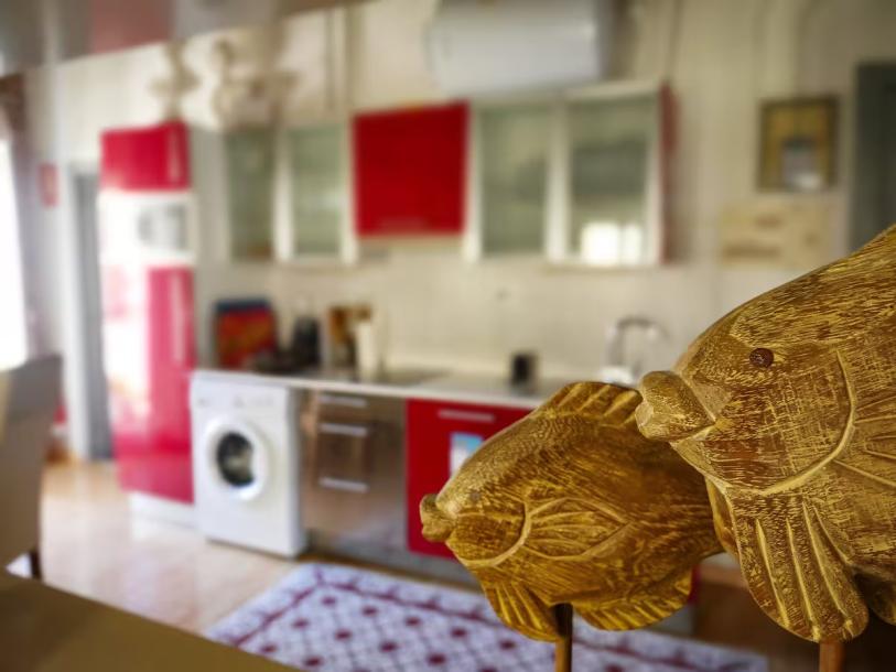 Explore Old Barcelona from a Loft-Style Studio-2